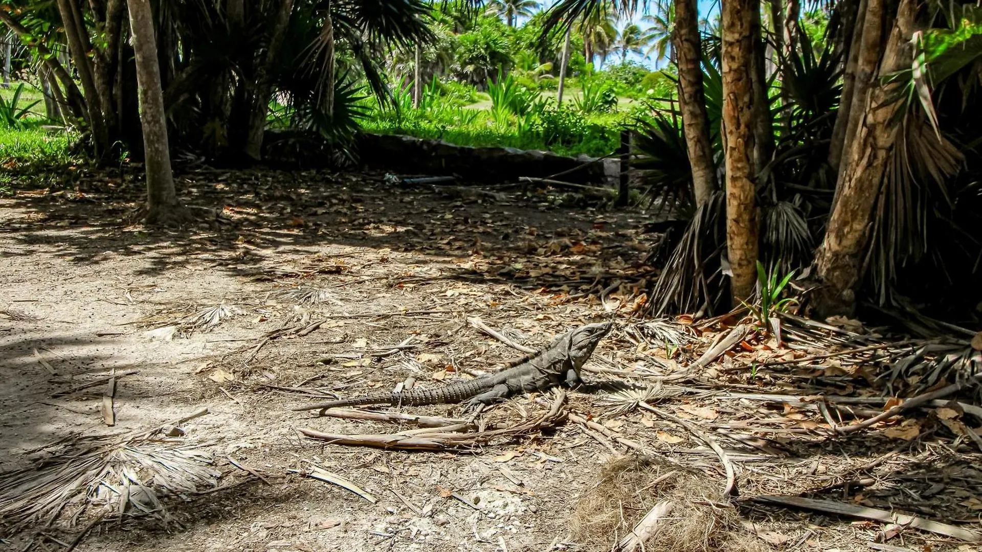 Tao Edena 34 Villa Tulum Holiday home