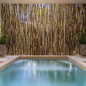 Holiday home Casa Cenote Private Pool Gated, Tulum